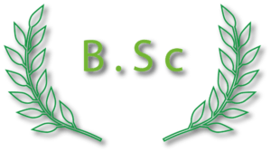 BSc