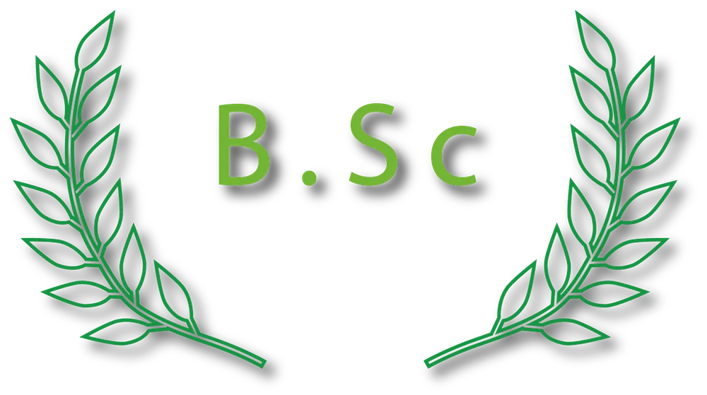 BSc